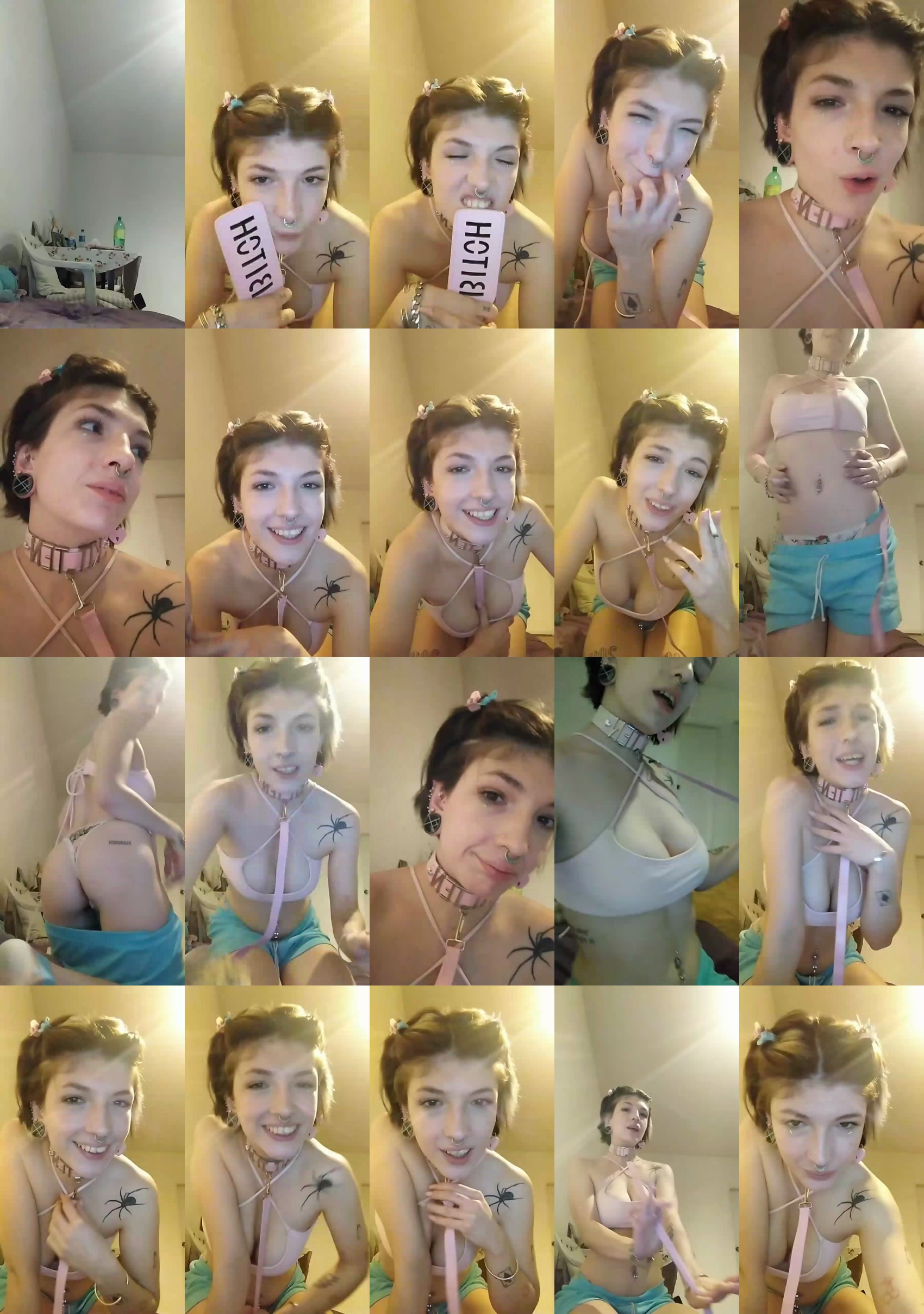 alexa_kitten  17-04-2022